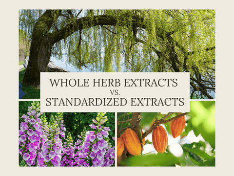 Whole Herb Extracts vs. Standardized Extracts