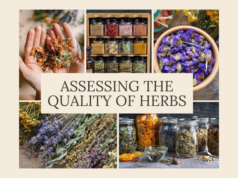 Assessing Quality in Herbs