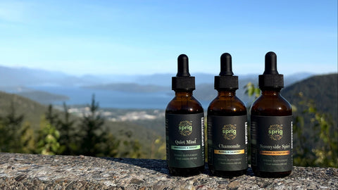 Three bottles of 'sprig' tinctures on a stone ledge with a scenic background.